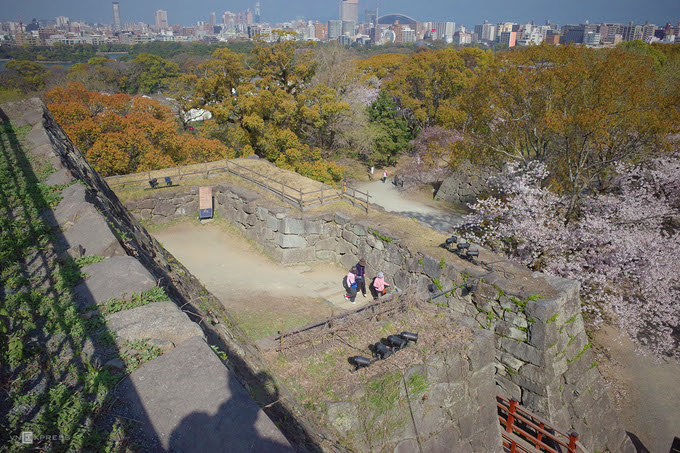 Thành cổ hơn 4.000 năm ở Nhật ngập trong sắc hoa anh đào