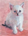 Kitty,portrait,oil on canvas,10x8,price$400 - Posted on Wednesday, November 26, 2014 by Joy Olney