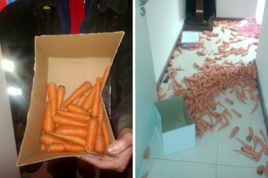 Cajas con zanahorias dejan ferroviarios en despacho del presidente de AFE y se complica el conflicto