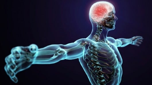 cerveau vr