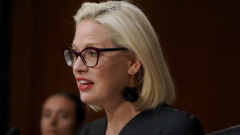 Illegal Alien Activists Harass Sen. Sinema As She Uses The Restroom