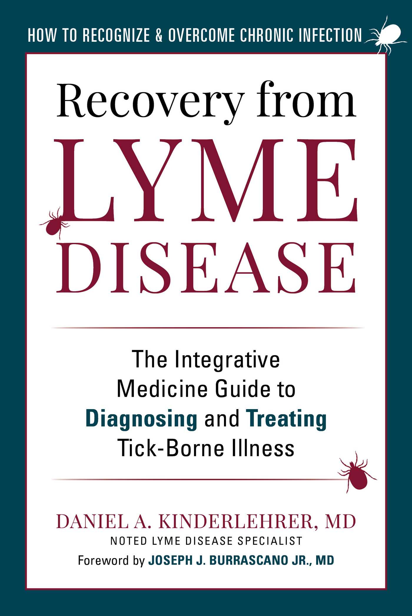 Recovery from Lyme Disease: The Integrative Medicine Guide to Diagnosing and Treating Tick-Borne Illness PDF