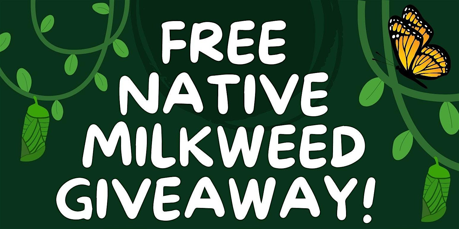 Free Milkweed Giveaway! - Elysian Heights Elementary Arts Garden
