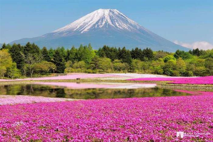 colorful places