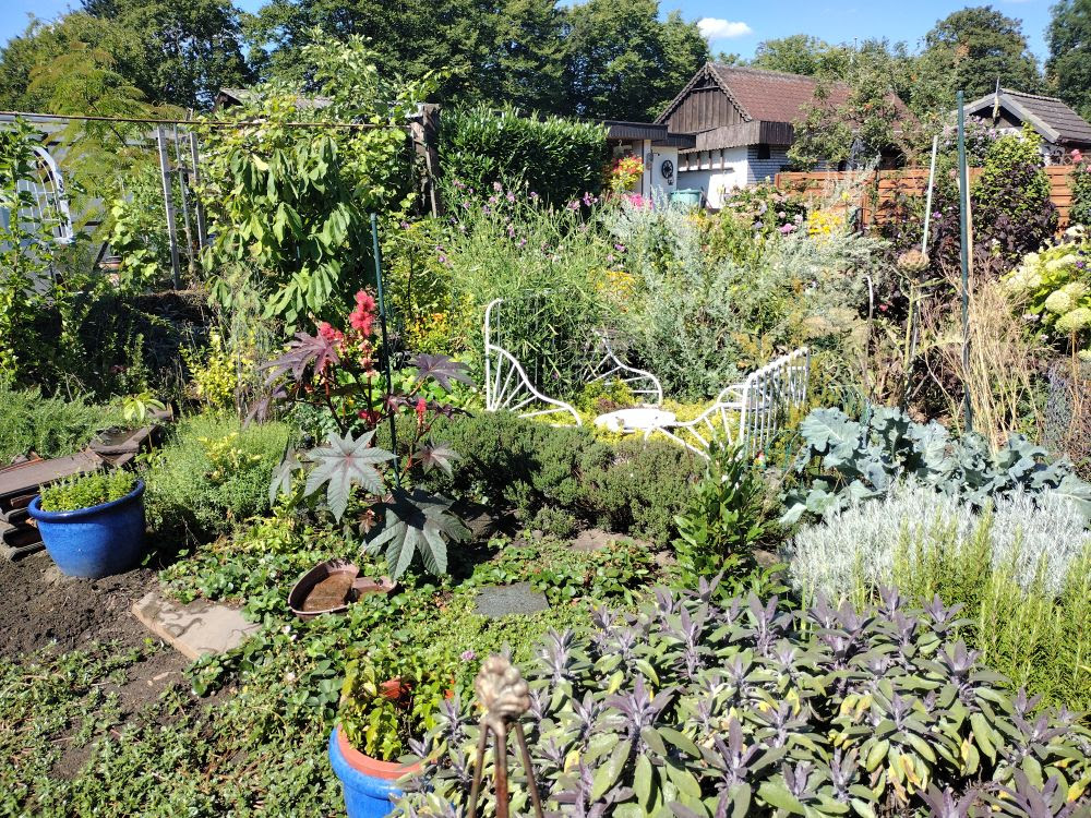 Impression aus dem Garten von Melanie