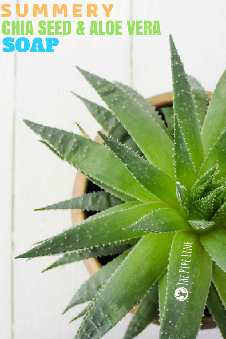 Aloe & Chia Seed Soap