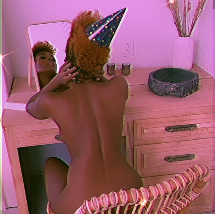 Janelle Monae poses in her birthday suit to mark her birthday (+18 photos)