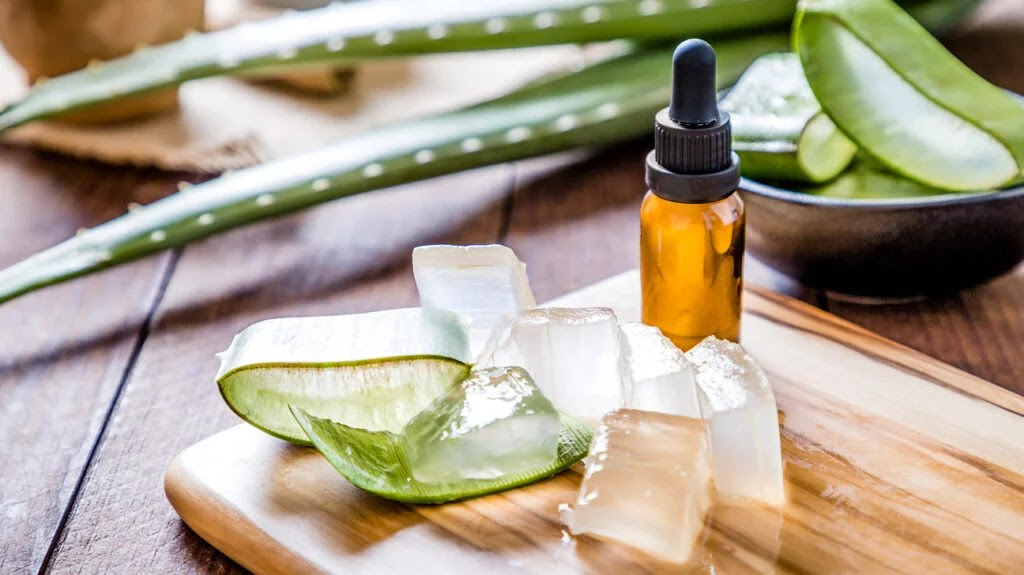 aloe vera is one of several natural remedies for receding gums