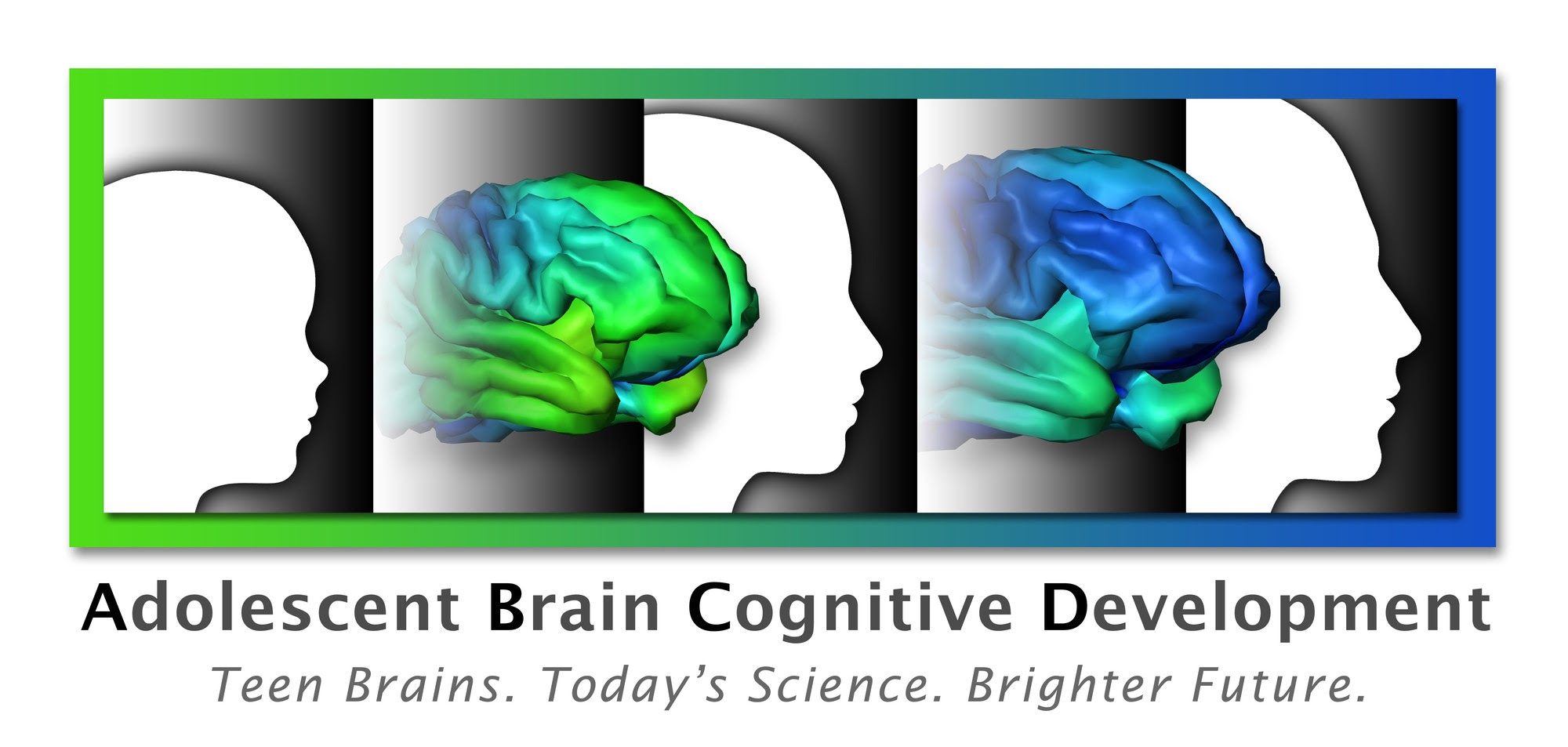 Adolescent Brain Cognitive Development - Teen Brains. Today's Science. Brighter Future.