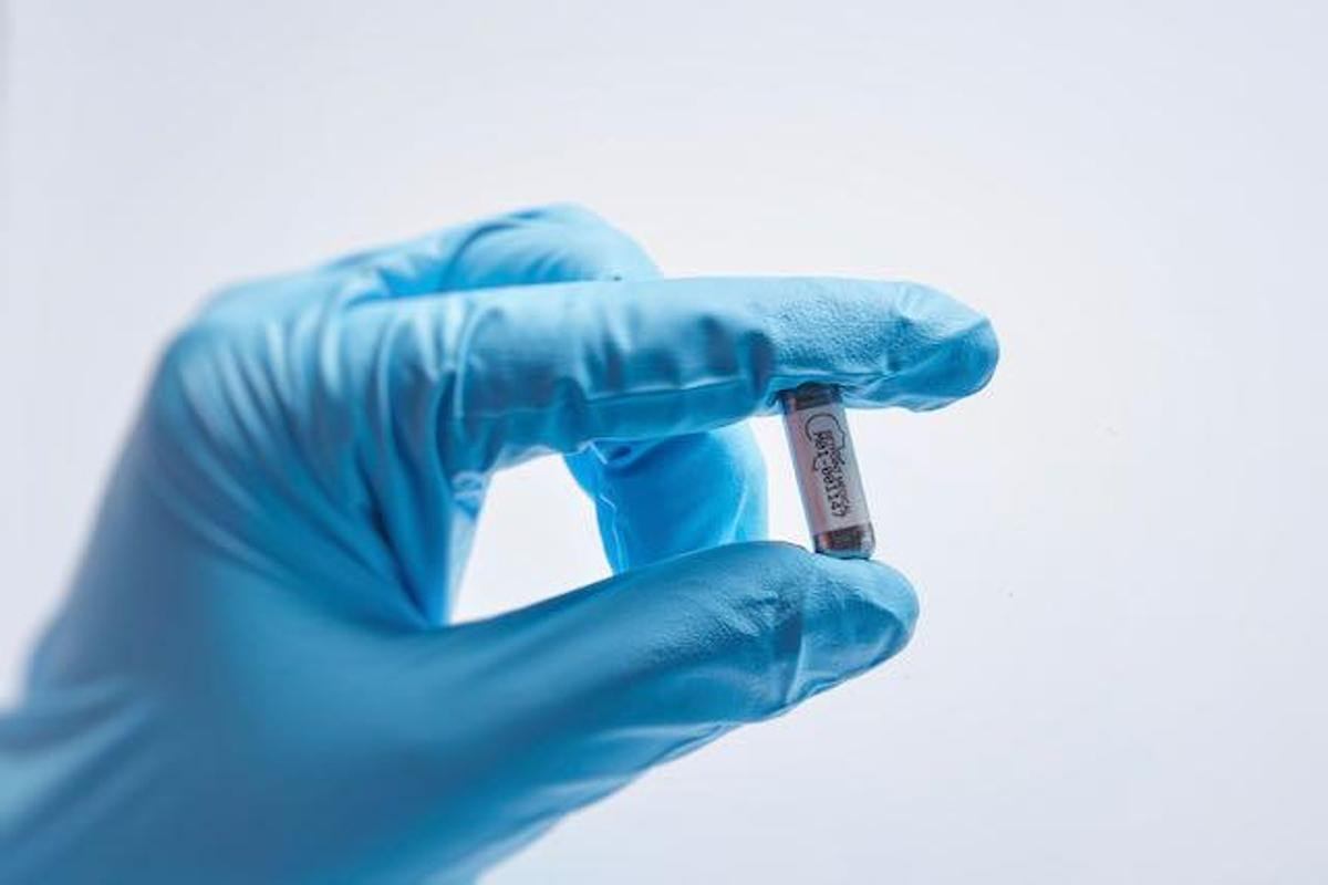 A large trial is currently underway in the United States testing an implant (pictured above) that is hoped to treat rheumatoid arthritis by delivering short bursts of electrical stimulation to the vagus nerve