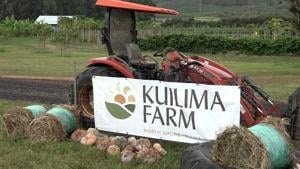 Kuilima Farm looks to increase local produce distribution with new USDA certification