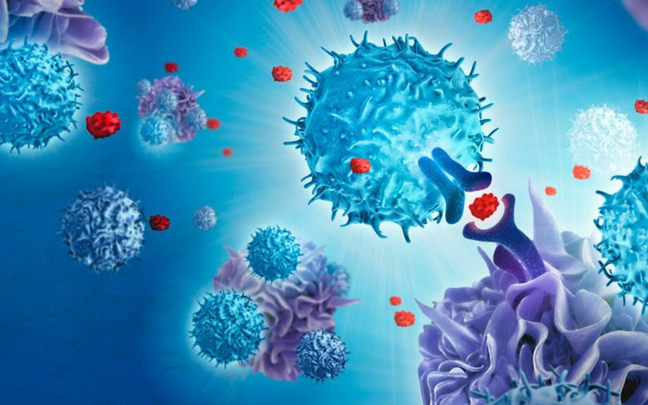 'Natural Killer Cells' deliver incredible results as new cancer therapy