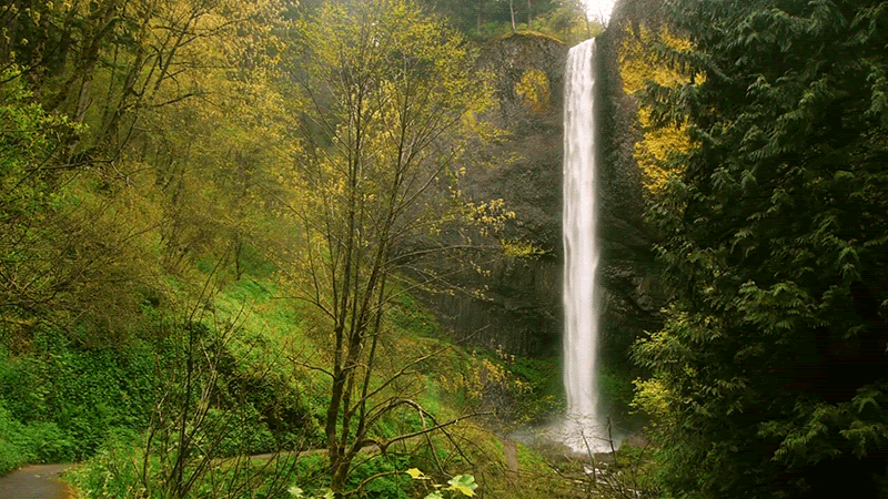Nature