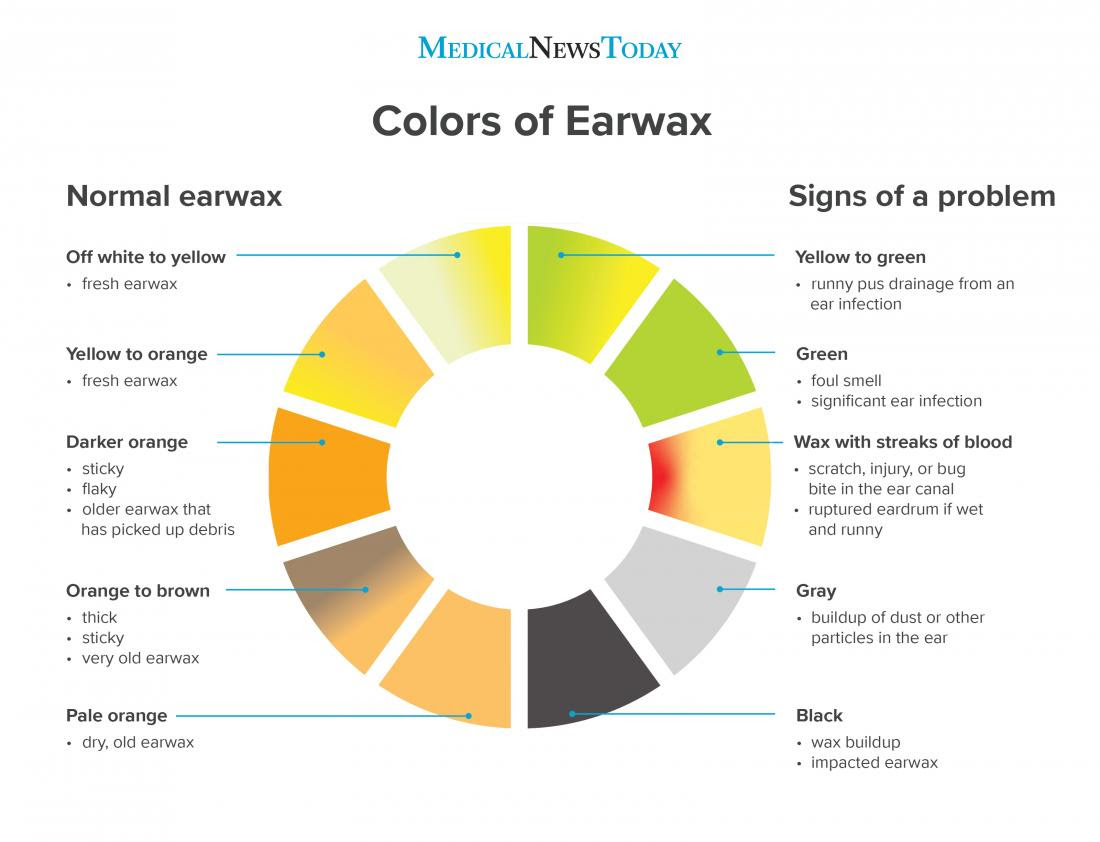 Earwax Color Chart What To Know   An Infographic Of Ear Wax Colors 