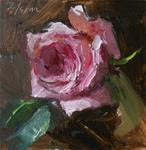 Pink Rose Study II - Posted on Friday, March 13, 2015 by Kelli Folsom