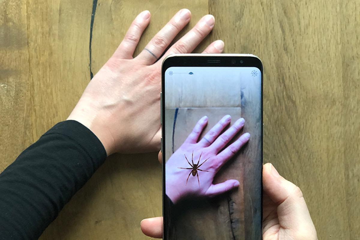 Using principles of exposure therapy, an app allows users to encounter virtual spiders to help overcome their fears