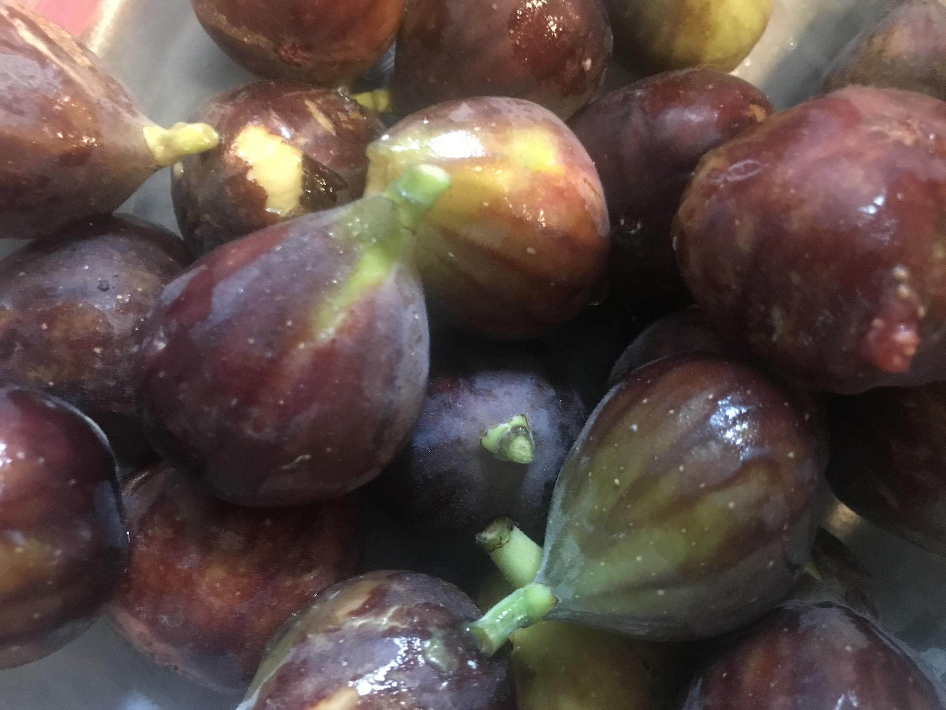 A pile of ripe purple figs