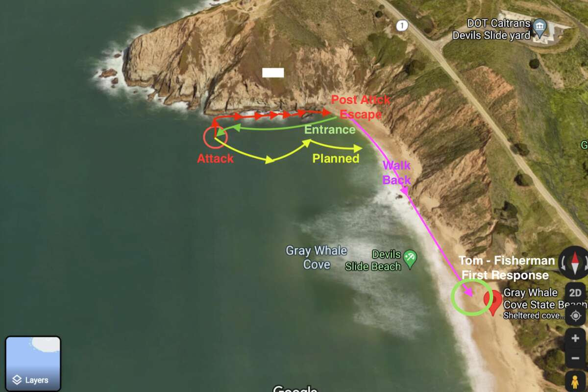 A man was snorkeling off the coast from Gray Whale Cove State Beach, about 18 miles south of San Francisco on the San Mateo County coast, on June 26, 2021, when he encountered a great white shark.