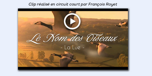 Nouveau clip "Le Nom des Oiseaux", par La Lue, réalisé par François Royet