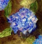 Blue Hydrangeas - Posted on Thursday, January 15, 2015 by Margaret Lombardi