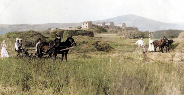 Merchavya_1922.