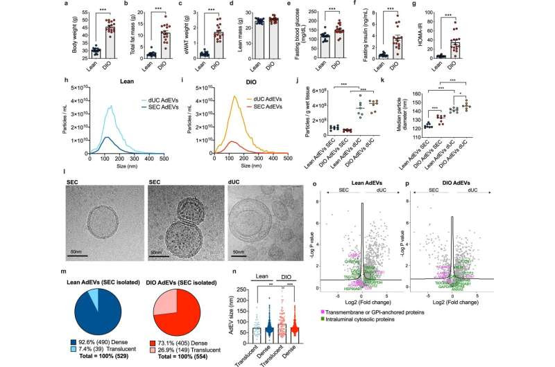 Messages from adipose tissue: Identification of a previously unknown function of adipose tissue in insulin secretion