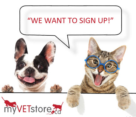 My Online Vet Store