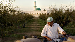 An American Mosque