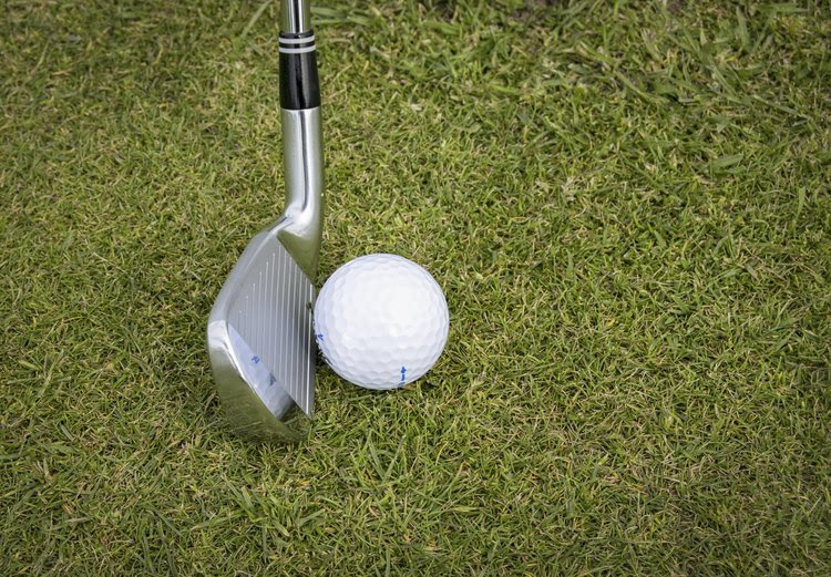 A golf club next to a golf ball in the grass, waiting to be hit.
