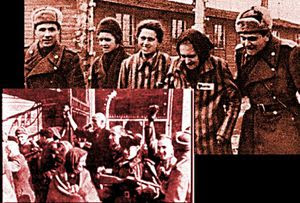 Auschwitz libéré par l'armée rouge