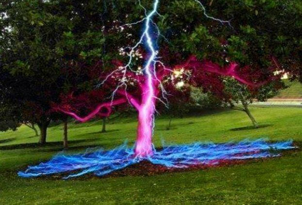 Lightening-Bolt-hitting-tree