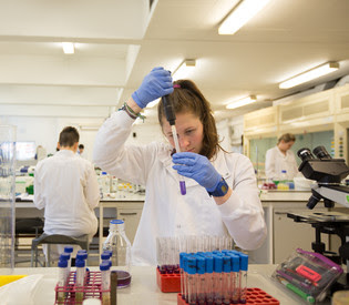 Students working in a lab