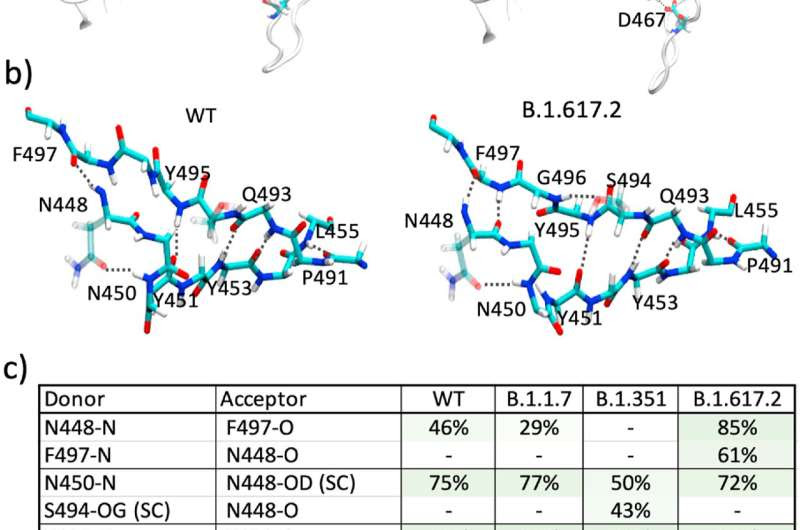 Highly contagious coronavirus variant's mutation weakens antibody effectiveness