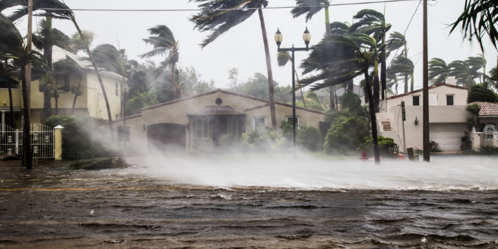 Hurricanes are Costly, Socialism is Costlier