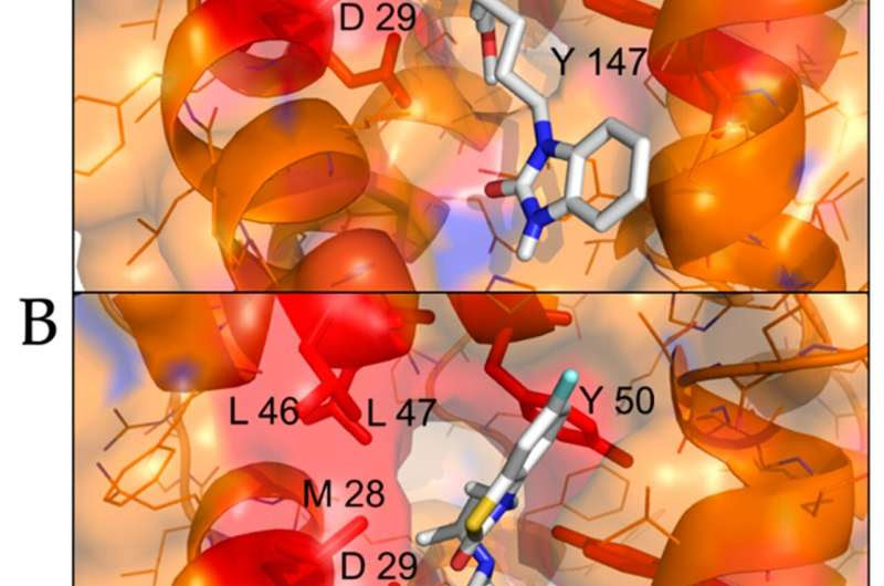 Two common compounds show effectiveness against COVID-19 virus in early testing