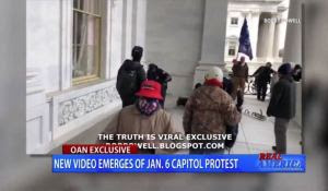 New Evidence FBI Planned and Executed Capitol Riot (VIDEO)