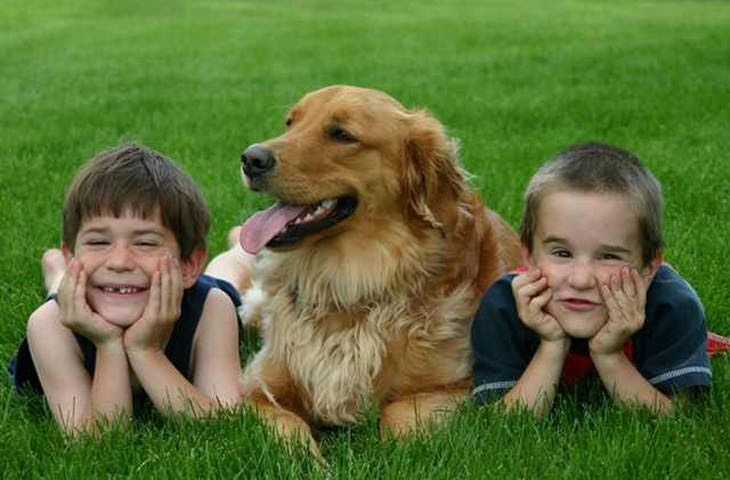 beneficios criar niños con perros
