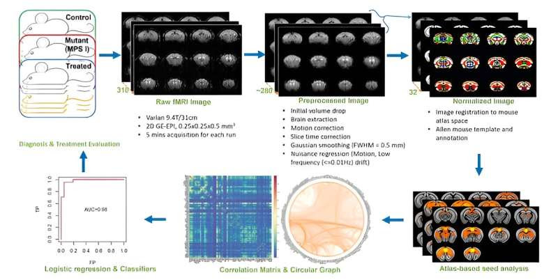 PS gene-editing shown to restore neural connections lost in brain disorder