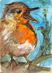 ACEO Hungry Baby Robin Original WC Pen Painting illustration Penny StewArt - Posted on Friday, March 27, 2015 by Penny Lee StewArt