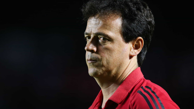Botafogo procura Fernando Diniz, que avalia opções no mercado