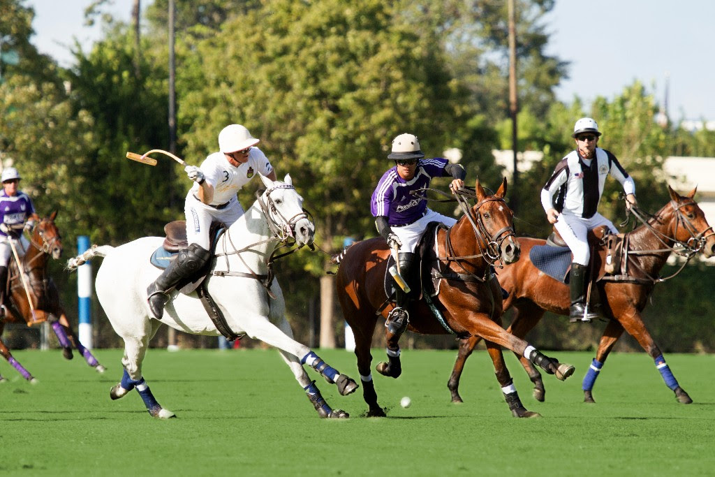 Houston Polo Club WATCH Sunday Polo or LEARN to play!