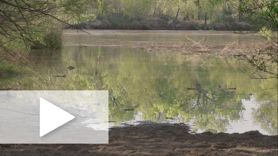 A peaceful image of a creek bed with a white play button overlay.