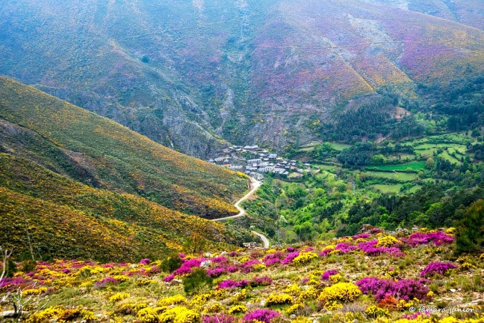 Aldeia da Pena