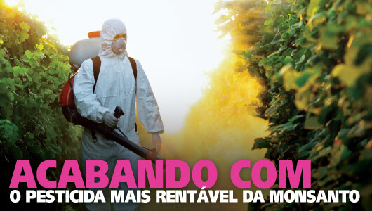 Interrompendo a caça às baleias