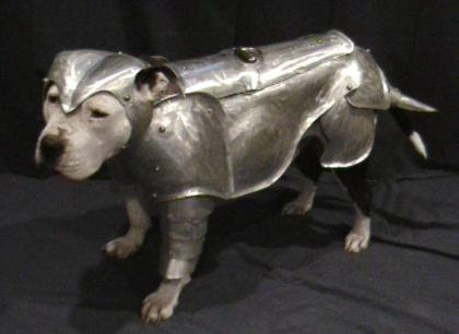 Dog in Armor