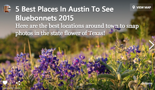 Best places to see wildflowers in Austin.