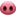 🐽