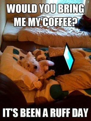 Dog Wants a Coffee