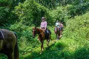 Horseback riders are pictured on a trail ride through a wooded area on a sunny day.