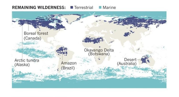 Selon une étude parue dans « Nature », il ne reste plus que 23 % de surfaces émergées intactes sur Terre (en bleu foncé).